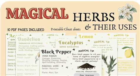 The Magical Properties of Kitchen Herbs: Spells and Brews